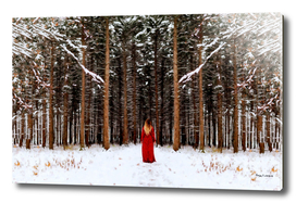 A Girl in the Winter Forest