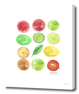 Fresh Citrus Print