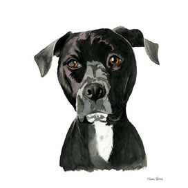 "Contemplating" Pit Bull Dog Painting