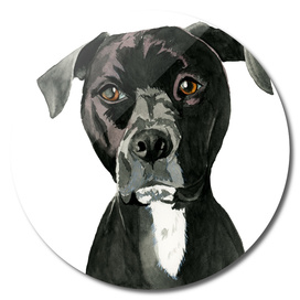 "Contemplating" Pit Bull Dog Painting