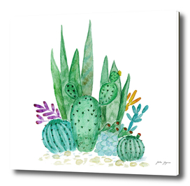 Watercolor Cactus Family