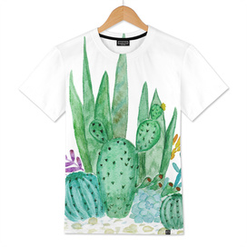 Watercolor Cactus Family