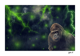 ThunderStorm Gorilla by GEN Z