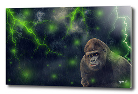 ThunderStorm Gorilla by GEN Z