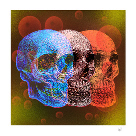 Pop art skulls