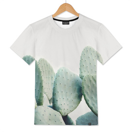 Pastel Cactus