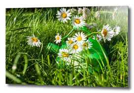 Summer day, green grass daisies countryside