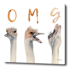 OMG Ostriches