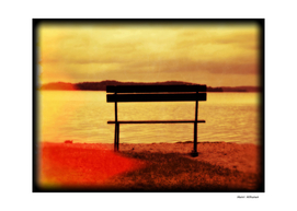 Bench by the lake 8