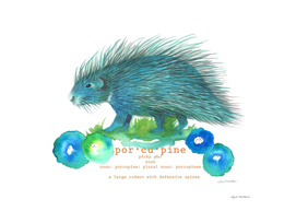 Blue Porcupine Print