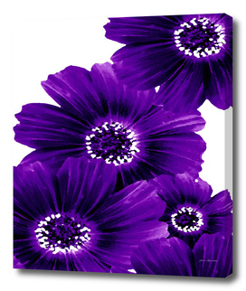 Floral Violet