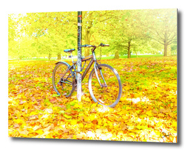 Bicycle in Hyde Park