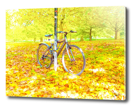 Bicycle in Hyde Park