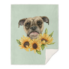 Cheerful | Bulldog Mix with Sunflowers Watercolor Painting
