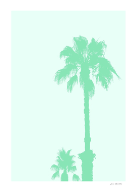Mint Palm Trees