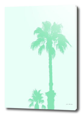 Mint Palm Trees