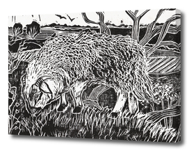 Dartmoor Sheep