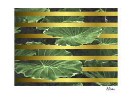 Green Leaves and Gold Stripes