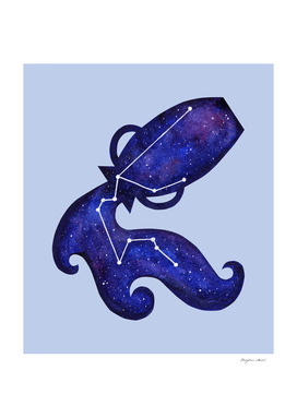 Astrological sign aquarius constellation