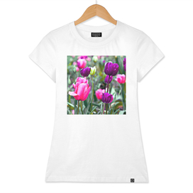 Floral Dream of Tulips