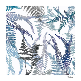 Lush Ferns in Blue