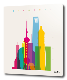 Shapes of Shanghai in Scale