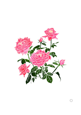 Rose-v2-art-print