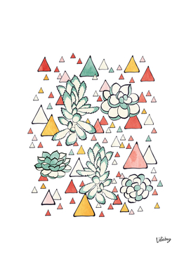 Succulent and triangles