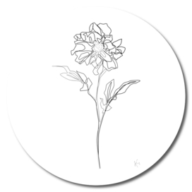 Dahlia Flower Print