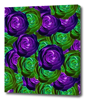 blooming rose texture pattern abstract in purple green