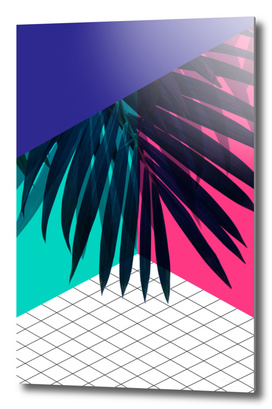 Eclectic Palms Geometry