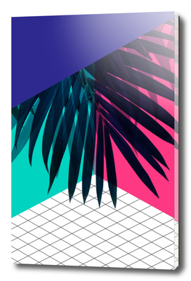 Eclectic Palms Geometry
