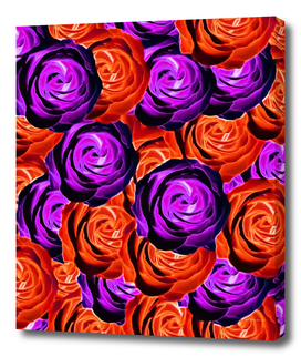 blooming rose pattern abstract in purple and orange