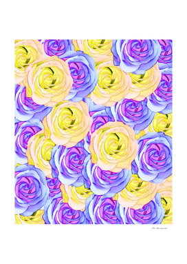 blooming rose pattern texture abstract in pink purple yellow