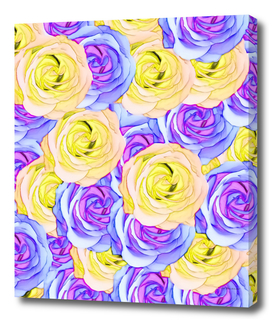 blooming rose pattern texture abstract in pink purple yellow