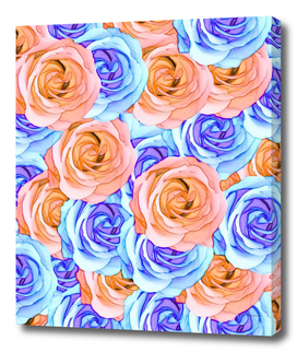 blooming rose pattern texture abstract in red and blue