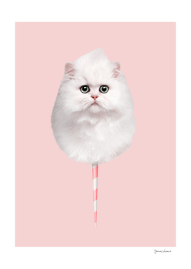 COTTON CANDY CAT