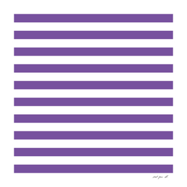 Horizontal Purple Stripes