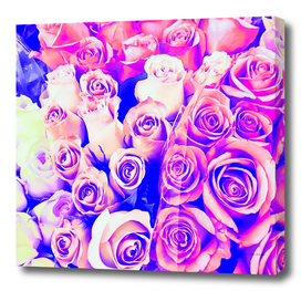 bouquet of pink and purple rose pattern texture abstract