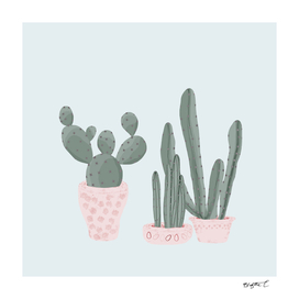 Soft Pastel Cacti Design