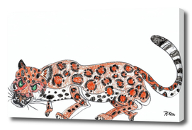 Orange Jaguar