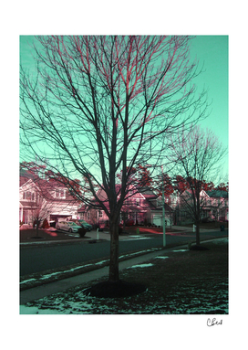 Red Green Tree