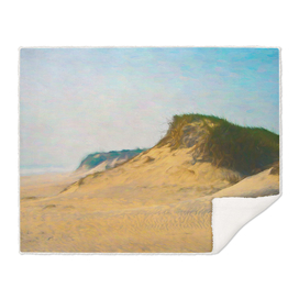 Outer Banks Dune