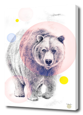 Mystical Woodland Animals: The Bear