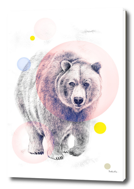 Mystical Woodland Animals: The Bear