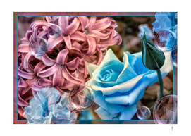 Roses And Hyacinths - BLUE PINK