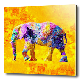 Elephant Colorful Design