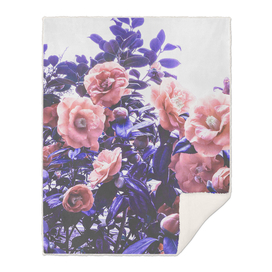 Wild Roses - Ultra Violet, Coral and Peach