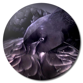 Black Swan by GEN Z