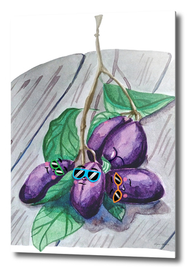 Swag plums illustration